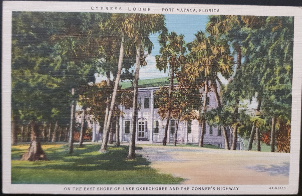 (image for) postcard USA - FL - Florida #0004